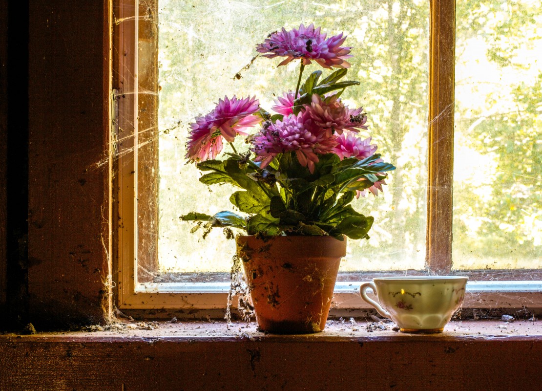 9724520467_c5cac91e3d_o